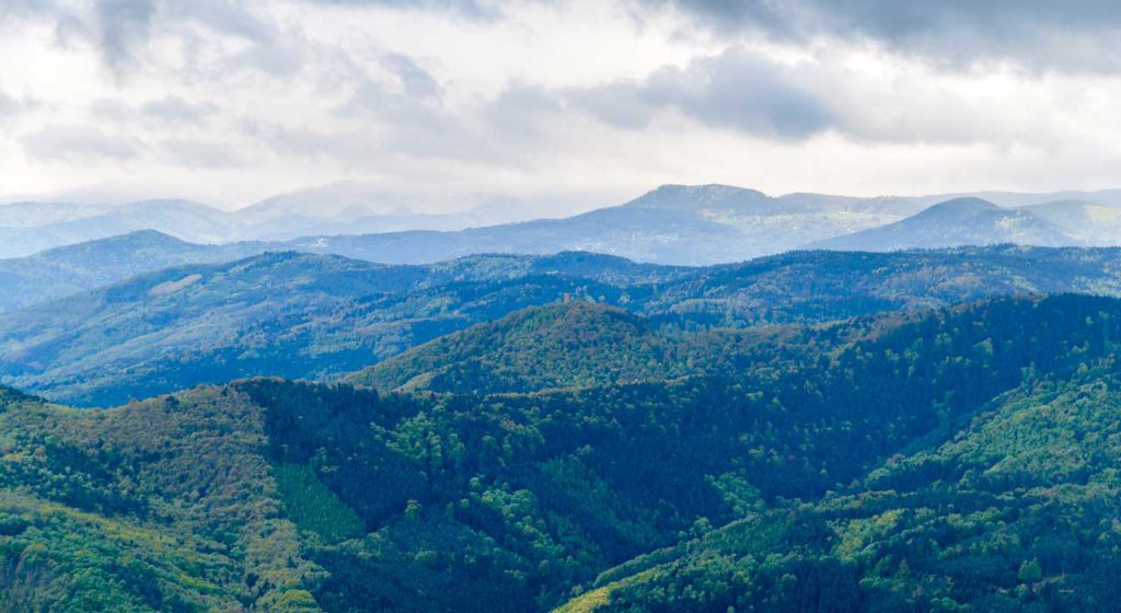 accueil-marica-vosges-montagnes-alsace