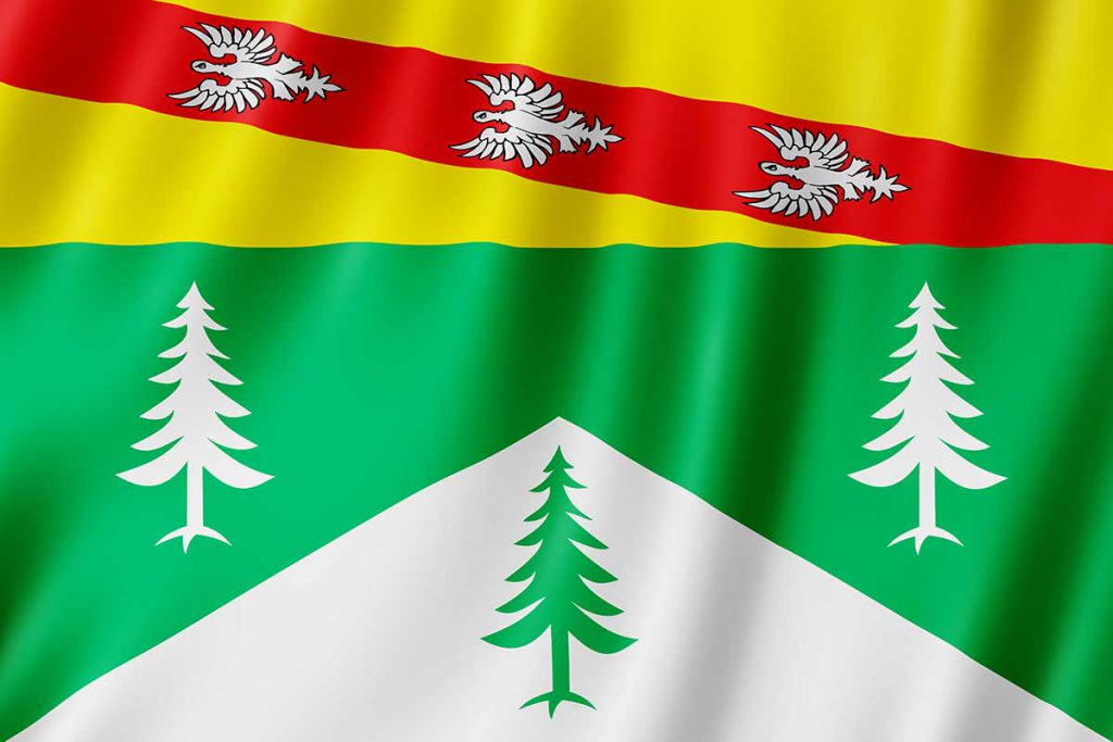 drapeau-marica-vosges-accueil